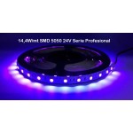 Tira LED Flexible 24V 14,4W/mt 60 Led/mt SMD 5050 IP20 Ultravioleta BLB, Serie Profesional, venta por metros